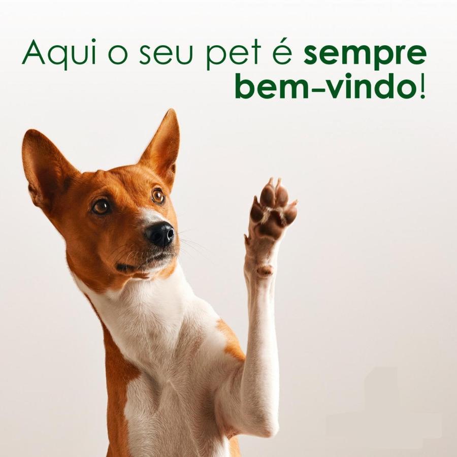 A Charmosa Acomodacao Em Boa Viagem. 500mb *